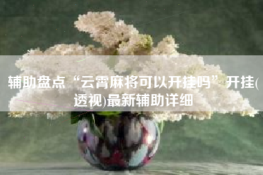 辅助盘点“云霄麻将可以开挂吗”开挂(透视)最新辅助详细 辅助盘点“云霄麻将可以开挂吗”开挂(透视)最新辅助详细