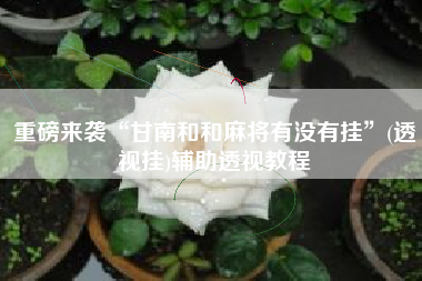 重磅来袭“甘南和和麻将有没有挂”(透视挂)辅助透视教程