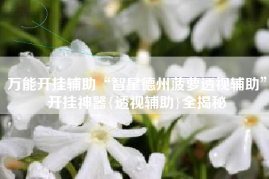 万能开挂辅助“智星德州菠萝透视辅助”开挂神器{透视辅助}全揭秘 万能开挂辅助“智星德州菠萝透视辅助”开挂神器{透视辅助}全揭秘