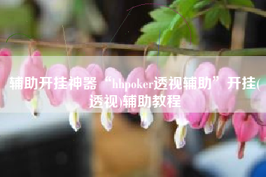 辅助开挂神器“hhpoker透视辅助”开挂(透视)辅助教程