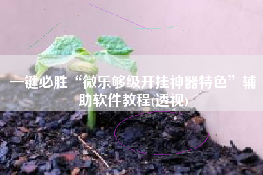 一键必胜“微乐够级开挂神器特色”辅助软件教程(透视) 一键必胜“微乐够级开挂神器特色”辅助软件教程(透视)