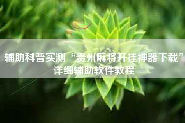 辅助科普实测“贵州麻将开挂神器下载”详细辅助软件教程