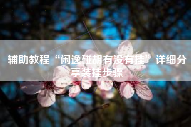 辅助教程“闲逸碰胡有没有挂”详细分享装挂步骤