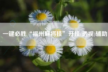 一键必胜“福州麻将挂”开挂(透视)辅助 一键必胜“福州麻将挂”开挂(透视)辅助