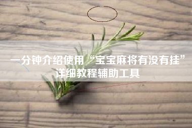一分钟介绍使用“宝宝麻将有没有挂”详细教程辅助工具 一分钟介绍使用“宝宝麻将有没有挂”详细教程辅助工具