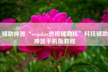辅助神器“wepoker透视辅助挂”科技辅助神器手机版教程