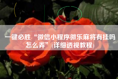 一键必胜“微信小程序微乐麻将有挂吗怎么弄”(详细透视教程) 一键必胜“微信小程序微乐麻将有挂吗怎么弄”(详细透视教程)