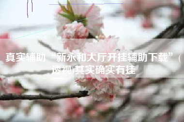 真实辅助“新永和大厅开挂辅助下载”(透视)其实确实有挂