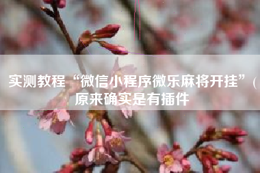 实测教程“微信小程序微乐麻将开挂”(原来确实是有插件