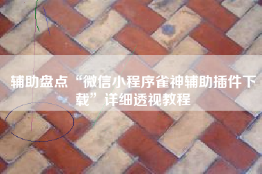 辅助盘点“微信小程序雀神辅助插件下载”详细透视教程