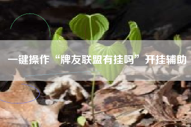 一键操作“牌友联盟有挂吗”开挂辅助 一键操作“牌友联盟有挂吗”开挂辅助