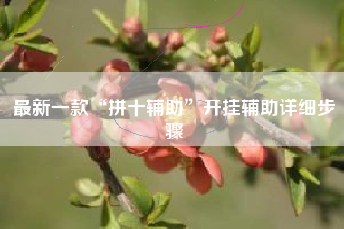 最新一款“拼十辅助”开挂辅助详细步骤 最新一款“拼十辅助”开挂辅助详细步骤