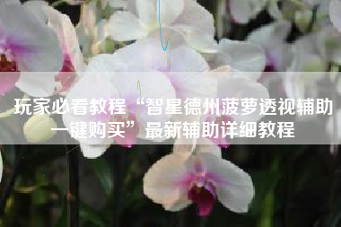 玩家必看教程“智星德州菠萝透视辅助一键购买”最新辅助详细教程 玩家必看教程“智星德州菠萝透视辅助一键购买”最新辅助详细教程