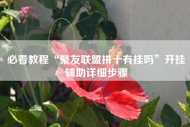 必看教程“聚友联盟拼十有挂吗”开挂辅助详细步骤