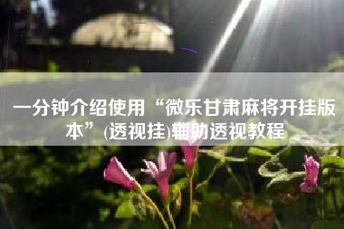 一分钟介绍使用“微乐甘肃麻将开挂版本”(透视挂)辅助透视教程