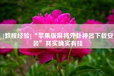 [教程经验]“苹果版麻将外卦神器下载安装”其实确实有挂