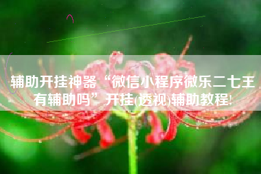 辅助开挂神器“微信小程序微乐二七王有辅助吗”开挂(透视)辅助教程!