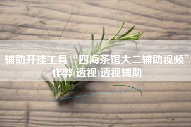 辅助开挂工具“四海茶馆大二辅助视频”作弊(透视)透视辅助