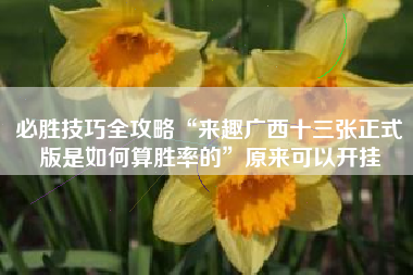 必胜技巧全攻略“来趣广西十三张正式版是如何算胜率的”原来可以开挂