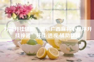 万能开挂辅助“微乐广西麻将小程序开挂神器”开挂(透视)辅助教程 万能开挂辅助“微乐广西麻将小程序开挂神器”开挂(透视)辅助教程