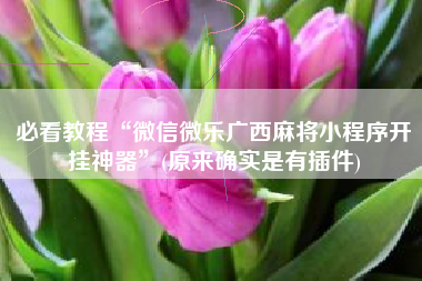 必看教程“微信微乐广西麻将小程序开挂神器”(原来确实是有插件)