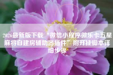 2026最新版下载“微信小程序微乐卡五星麻将自建房辅助器插件”附开挂脚本详细步骤 2026最新版下载“微信小程序微乐卡五星麻将自建房辅助器插件”附开挂脚本详细步骤