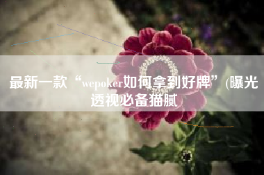 最新一款“wepoker如何拿到好牌”(曝光透视必备猫腻