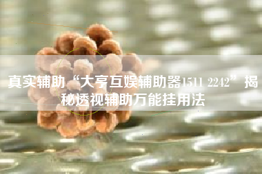 真实辅助“大亨互娱辅助器1511 2242”揭秘透视辅助万能挂用法