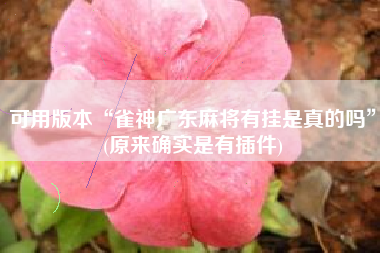 可用版本“雀神广东麻将有挂是真的吗”(原来确实是有插件)