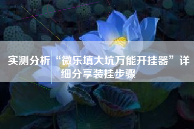 实测分析“微乐填大坑万能开挂器”详细分享装挂步骤