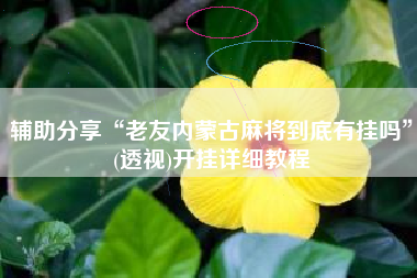辅助分享“老友内蒙古麻将到底有挂吗”(透视)开挂详细教程