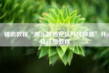 辅助教程“微乐陕西挖坑开挂神器”开挂详细教程