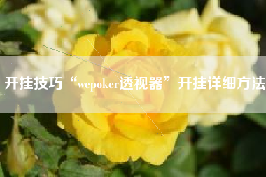 开挂技巧“wepoker透视器”开挂详细方法