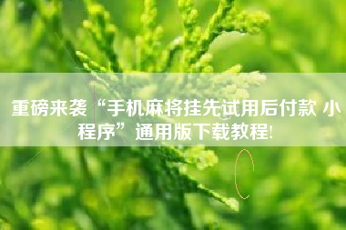重磅来袭“手机麻将挂先试用后付款 小程序”通用版下载教程!