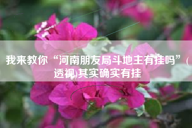 我来教你“河南朋友局斗地主有挂吗”(透视)其实确实有挂