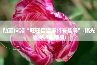 助赢神器“旺旺福建麻将有挂吗”(曝光透视必备猫腻)