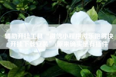 辅助开挂工具“微信小程序微乐跑得快开挂下载安装”(原来确实是有插件