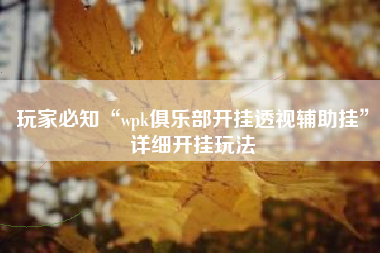 玩家必知“wpk俱乐部开挂透视辅助挂”详细开挂玩法