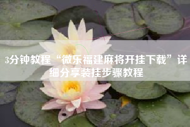 3分钟教程“微乐福建麻将开挂下载”详细分享装挂步骤教程