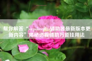 帮你解答“wepokerplus辅助器最新版本更新内容”揭秘透视辅助万能挂用法