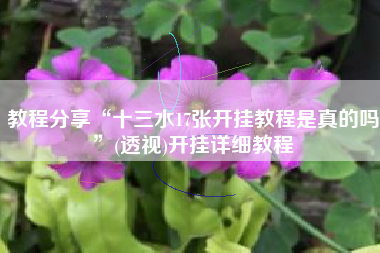 教程分享“十三水17张开挂教程是真的吗”(透视)开挂详细教程