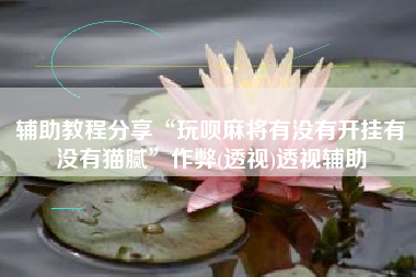 辅助教程分享“玩呗麻将有没有开挂有没有猫腻”作弊(透视)透视辅助