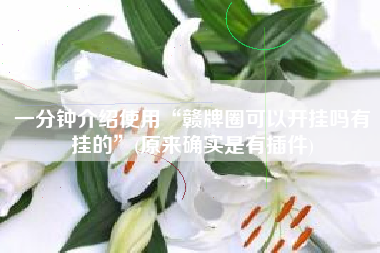 一分钟介绍使用“赣牌圈可以开挂吗有挂的”(原来确实是有插件)