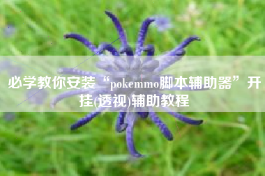 必学教你安装“pokemmo脚本辅助器”开挂(透视)辅助教程