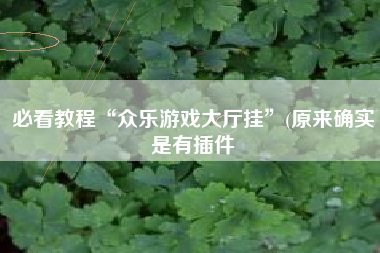 必看教程“众乐游戏大厅挂”(原来确实是有插件