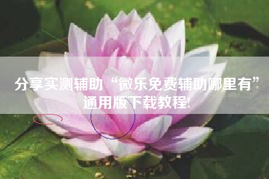 分享实测辅助“微乐免费辅助哪里有”通用版下载教程!