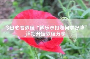 今日必看教程“微乐双扣如何拿好牌”详细开挂教程分享