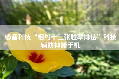 必备科技“相约十三张胜率排法”科技辅助神器手机