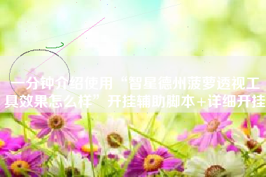 一分钟介绍使用“智星德州菠萝透视工具效果怎么样”开挂辅助脚本+详细开挂