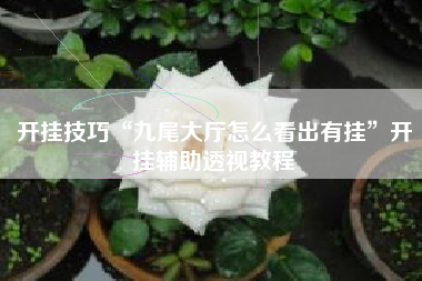 开挂技巧“九尾大厅怎么看出有挂”开挂辅助透视教程